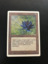Black Lotus